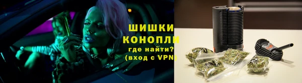 ALPHA PVP Осинники