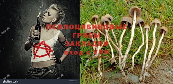 меф VHQ Магадан